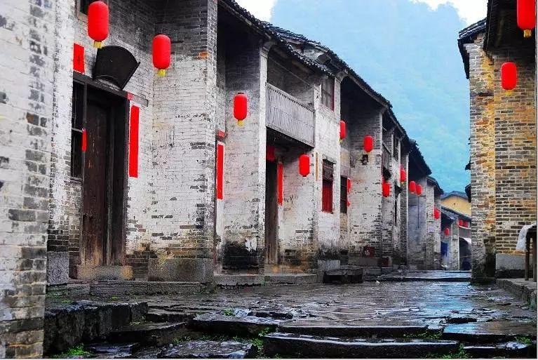 章鱼喷墨汁
